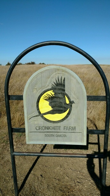 imagejpeg_0 (1).jpg
