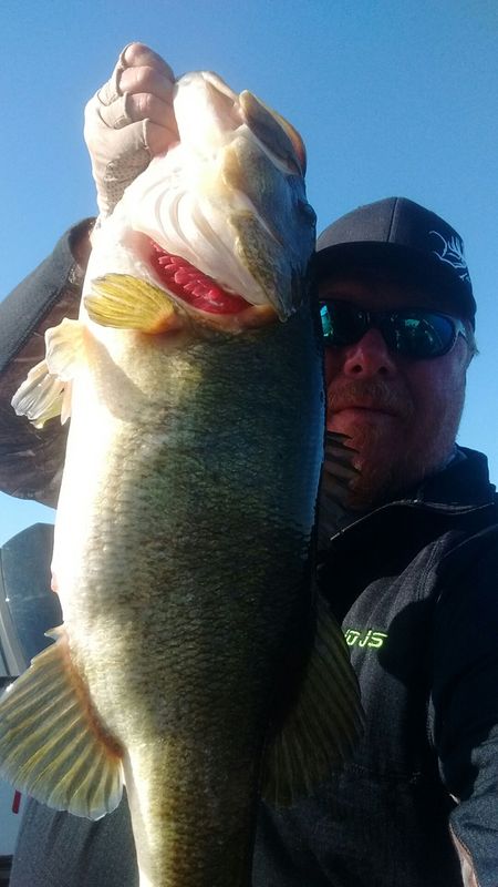 BigFish.jpg